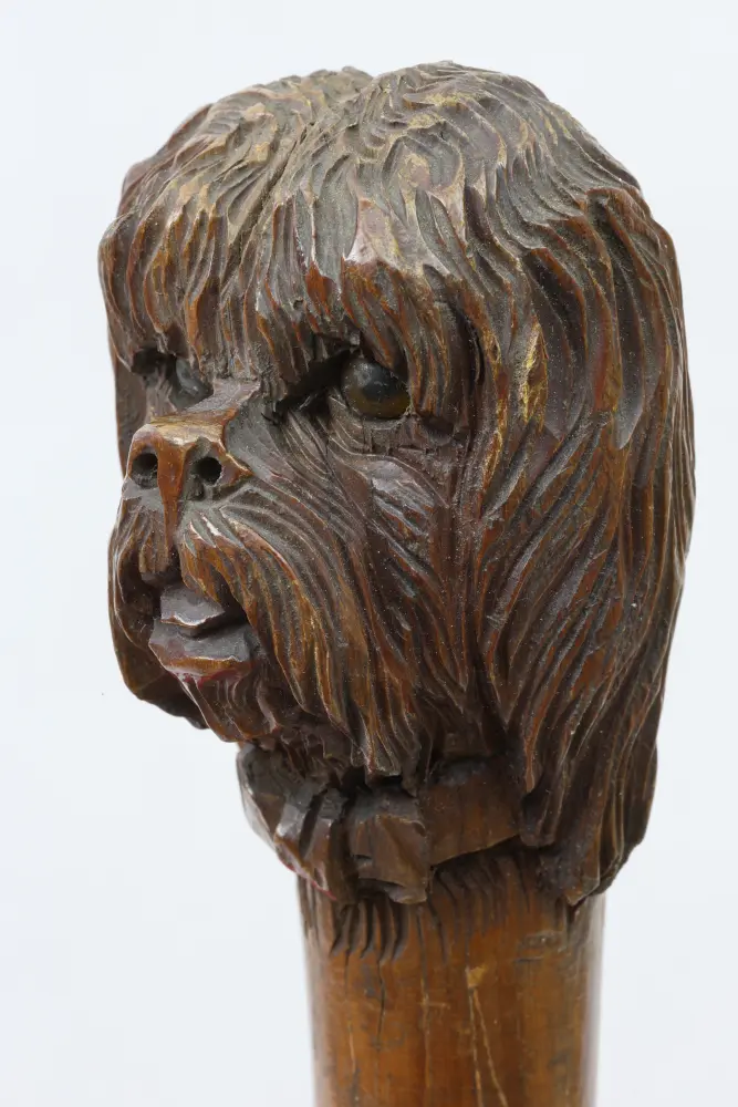 obrázek vycházkové hole