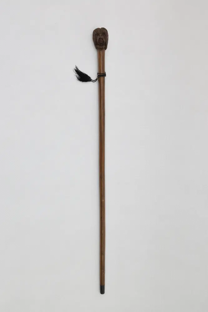 obrázek vycházkové hole