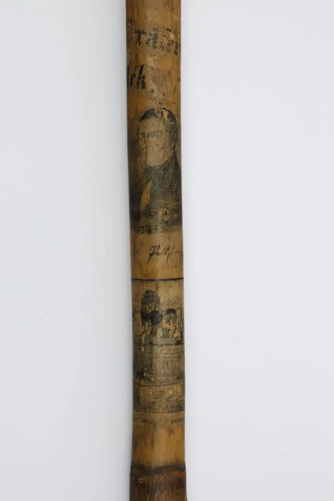 obrázek vycházkové hole