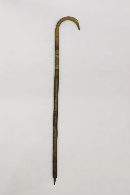 obrázek vycházkové hole