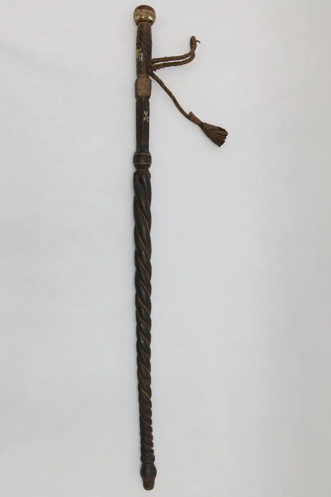 obrázek vycházkové hole