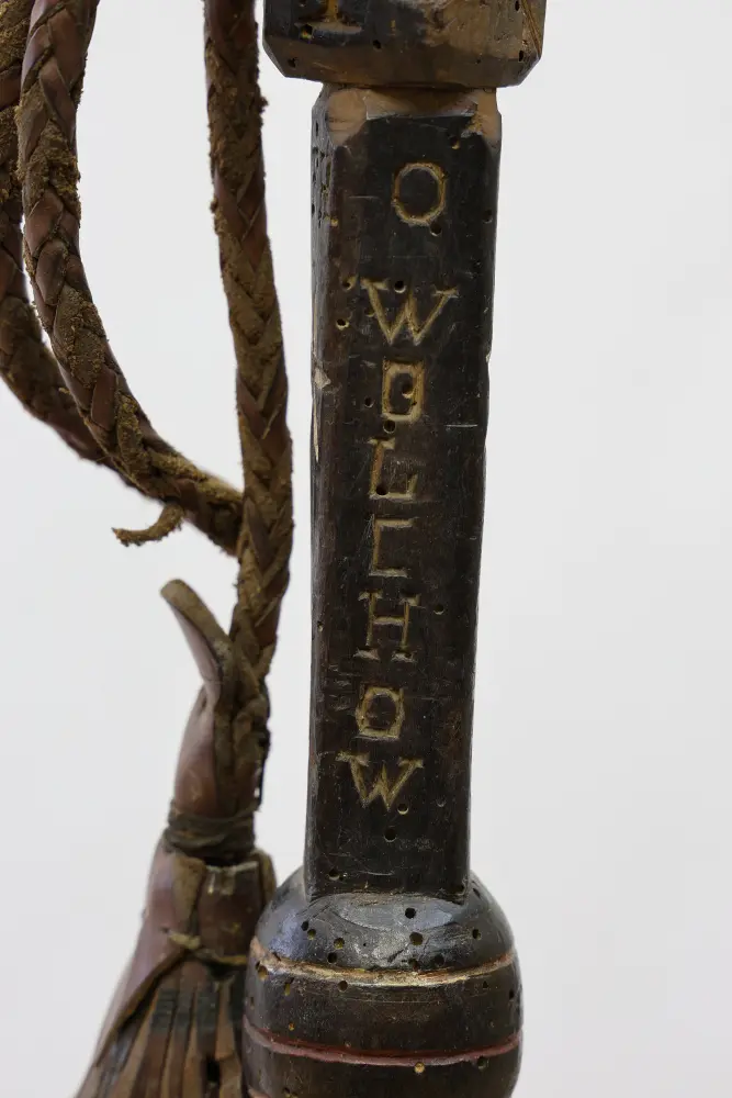 obrázek vycházkové hole