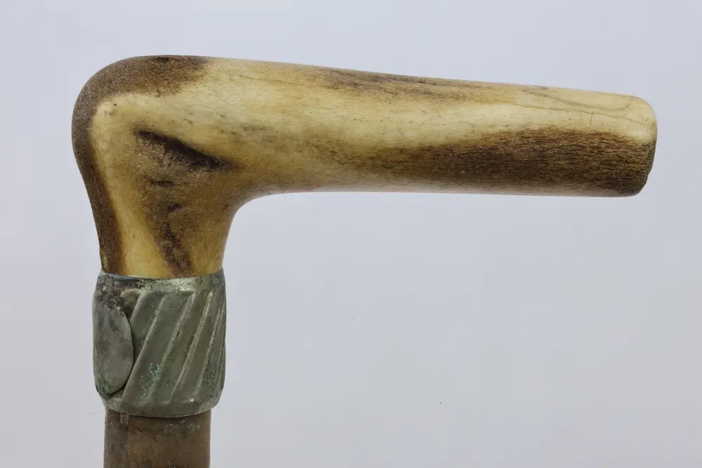 obrázek vycházkové hole