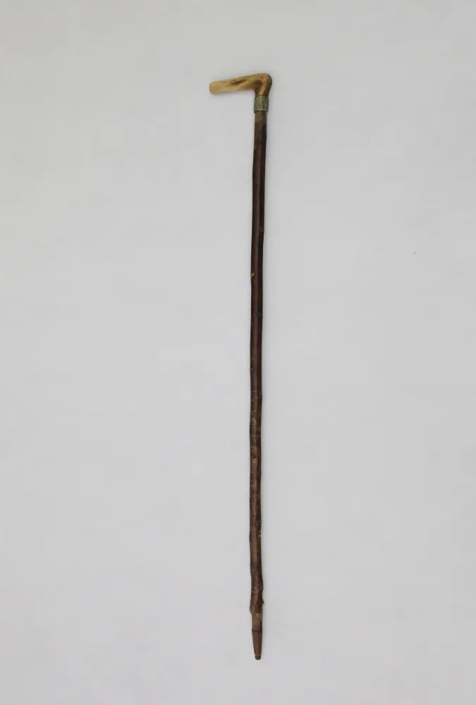 obrázek vycházkové hole