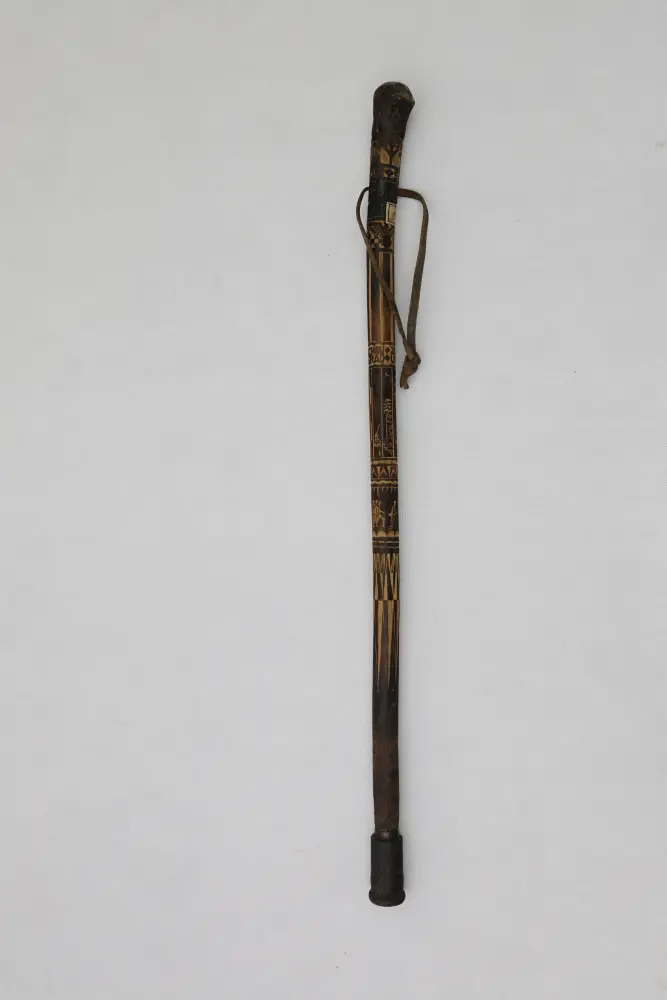 obrázek vycházkové hole